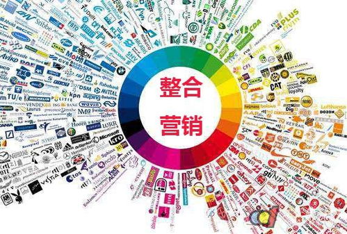 問(wèn)答營(yíng)銷實(shí)戰(zhàn)指南 高效策略征服百度知道，引爆網(wǎng)絡(luò)推廣效果